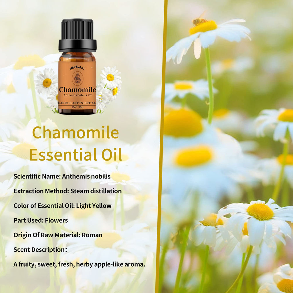 Yethious Chamomile Sandalwood Vetiver Essential Oil Set – Organic 100% Pure Aromatherapy Oils for Diffusers
