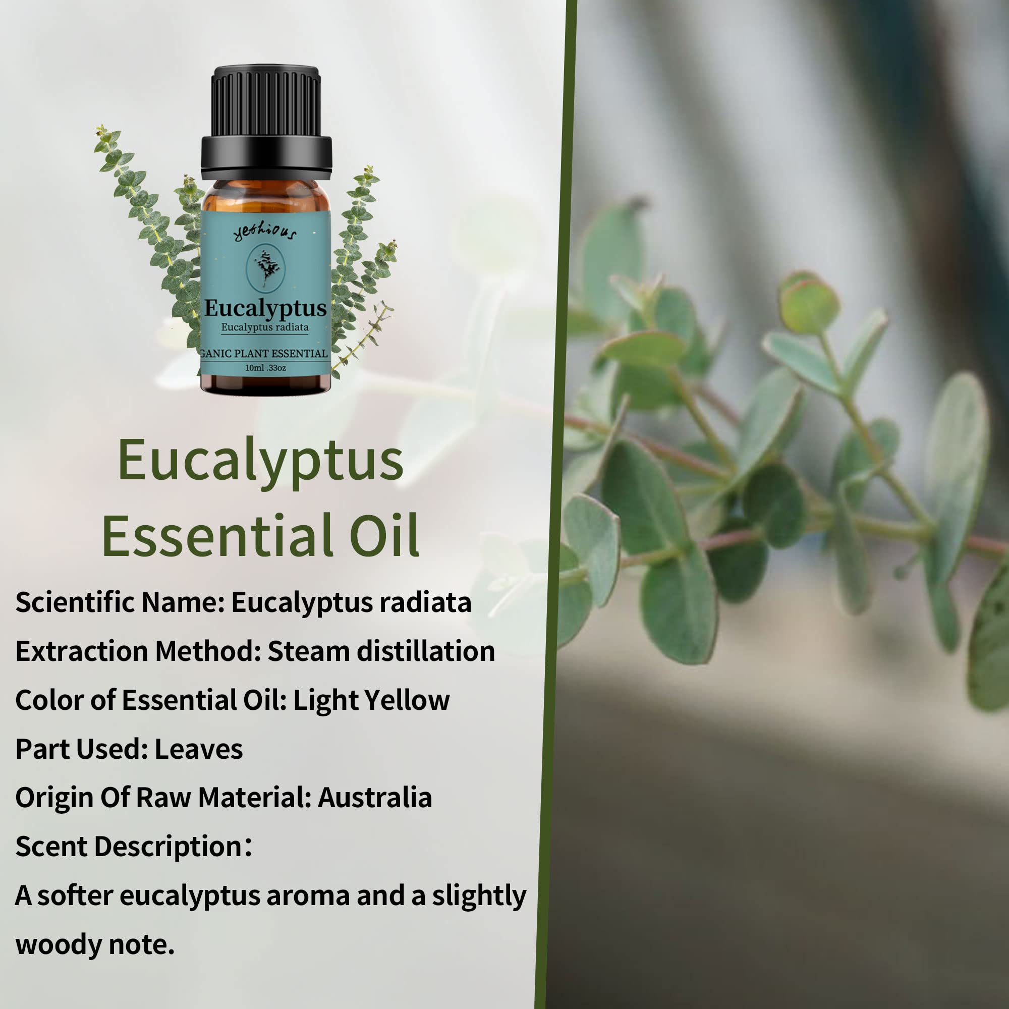 yethious Lavender Eucalyptus Essential Oil – Organic Pure Plant Lavender Oil for Diffuser, Skin & Hair Care