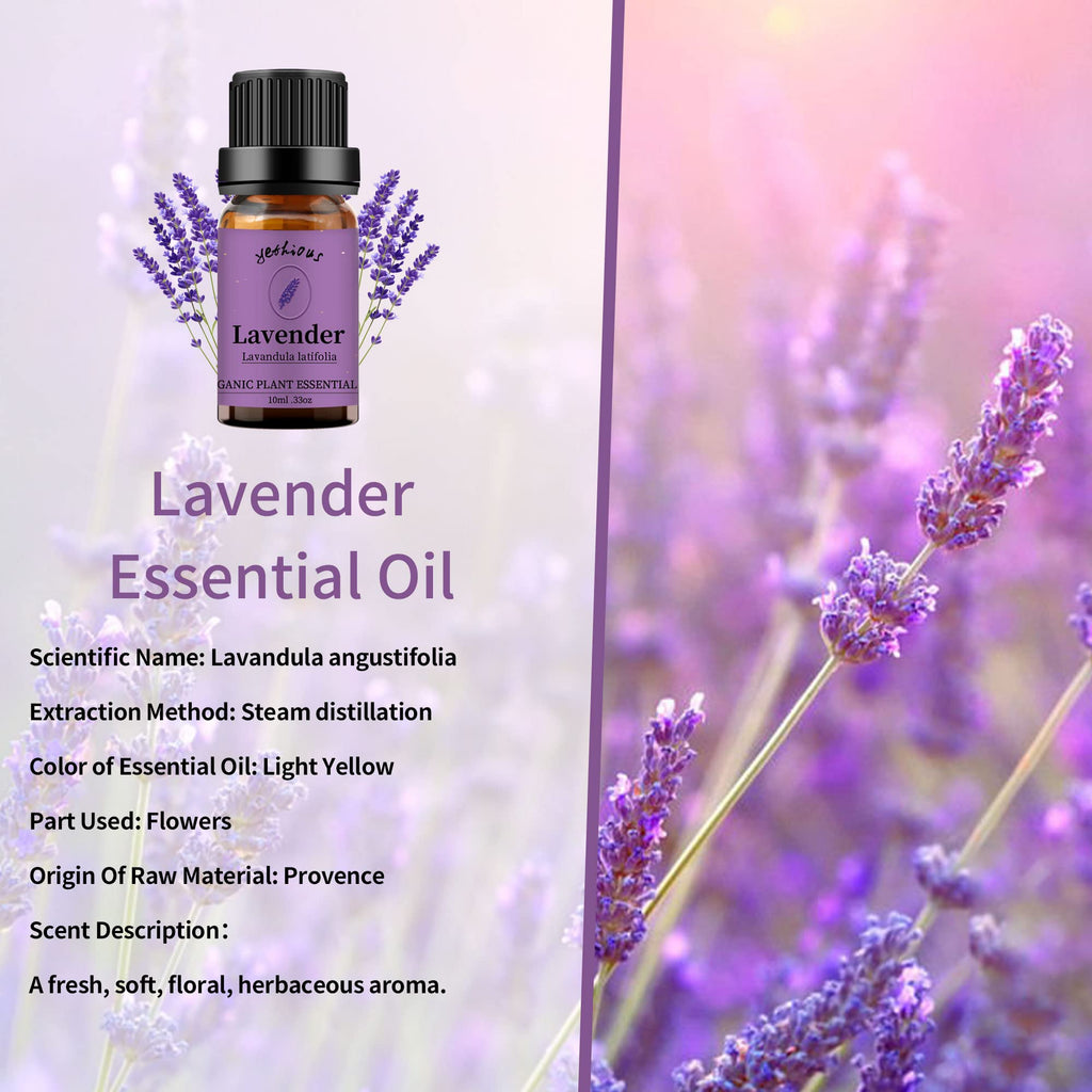 Yethious Lavender Essential Oil for Diffuser & Aromatherapy | Pure Organic Lavender Oil