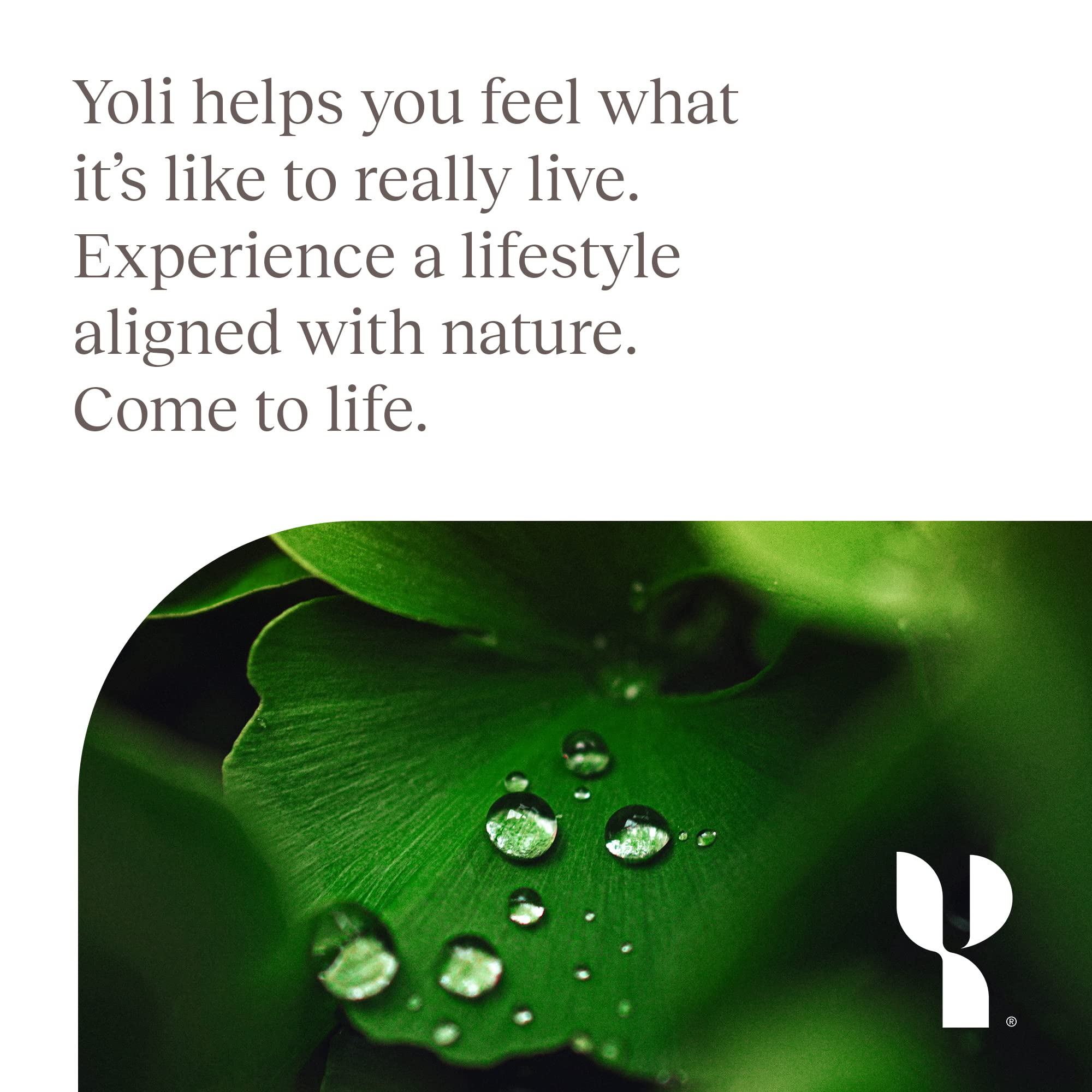 Yoli Defend - Supports Your Immunity And Boosts Your Immune Response at a Cellular Level