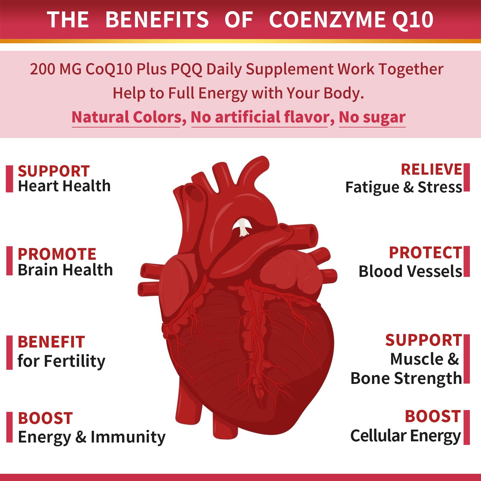 ZEBORA CoQ10-200mg Softgels with PQQ, BioPerine & Omega-3 – 120 Servings