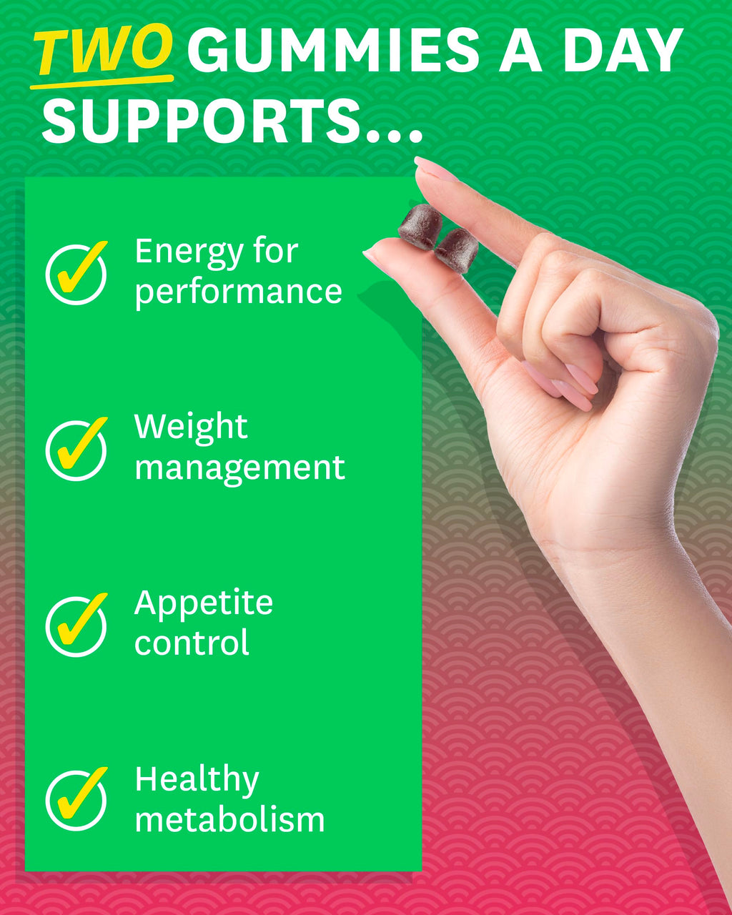 Zenwise Health Fat Burner Gummies – Appetite Suppressant for Weight Loss with Green Tea Extract, Garcinia Cambogia & B12 (60ct Apple Gummies)