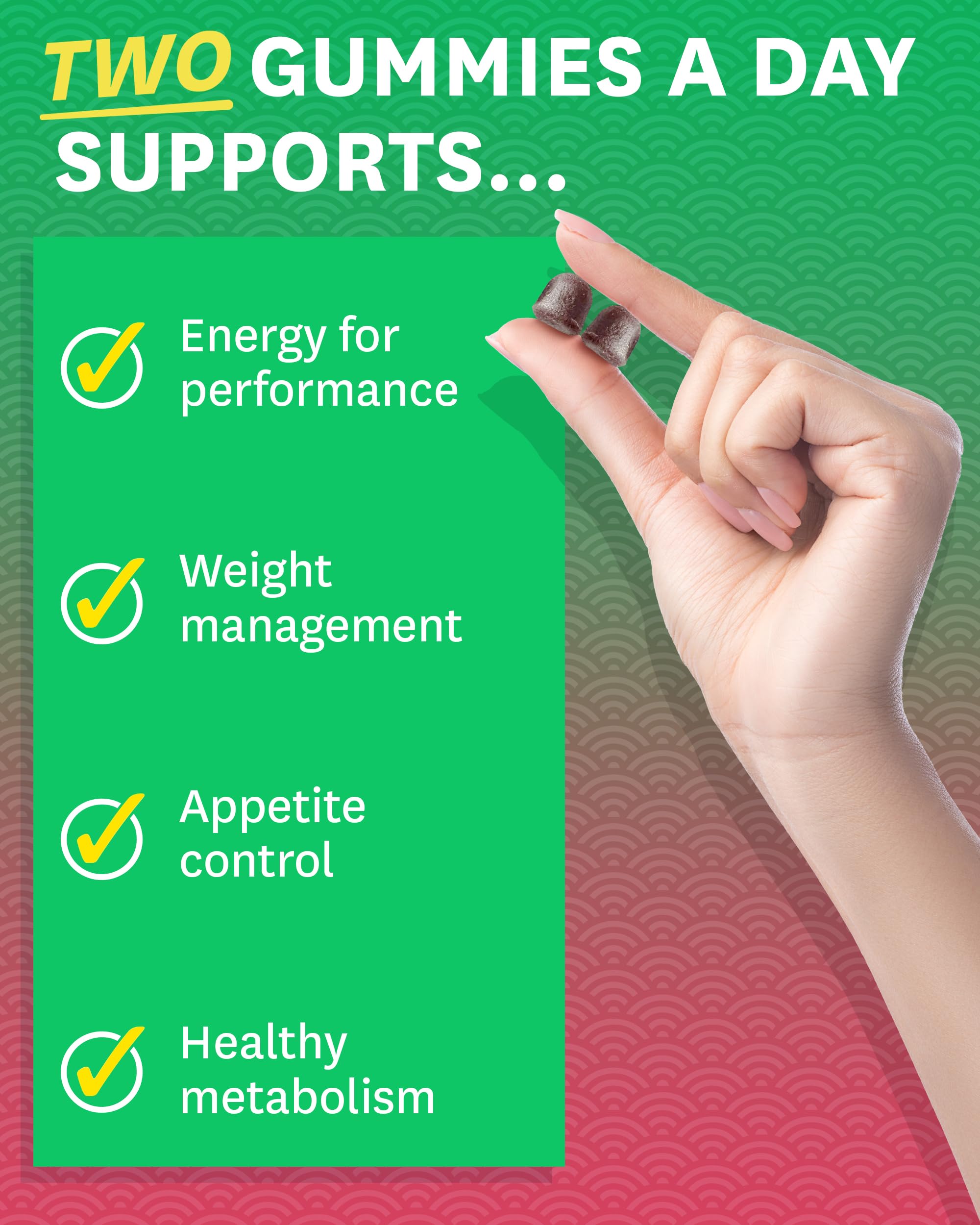 Zenwise Health Fat Burner Gummies – Appetite Suppressant for Weight Loss with Green Tea Extract, Garcinia Cambogia & B12 (60ct Apple Gummies)